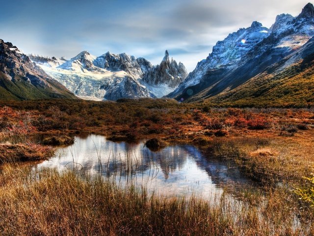 Oil Pressing & Refining Equipment