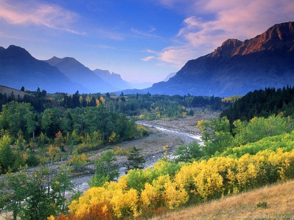 Feed Processing Equipment