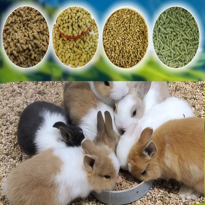 Rabbit Feed Pellet Mill | High Efficiency Rabbit Feed Making Machine For Sale