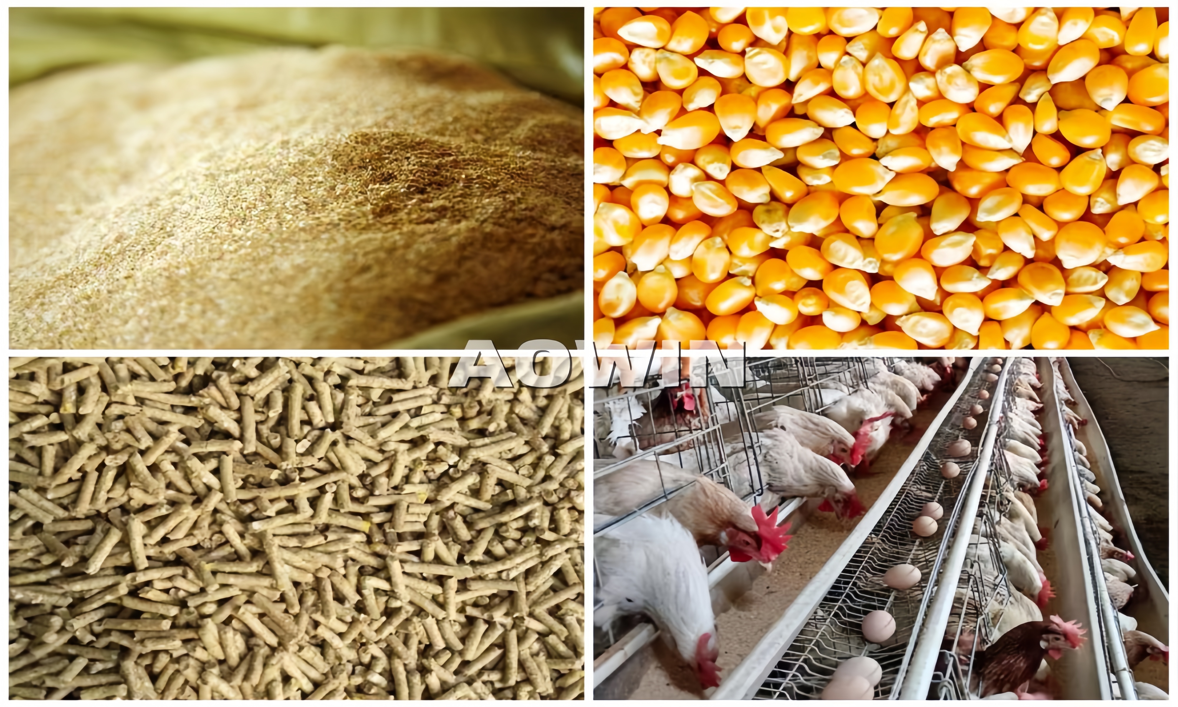 fb6ab7806697899d5fee517f915a73a6_副本