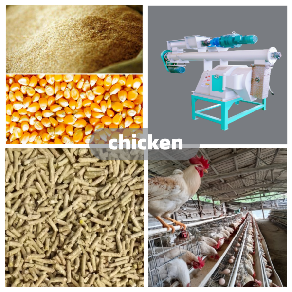 155d042b23bf08cb1f639054a9dfa4f8_副本