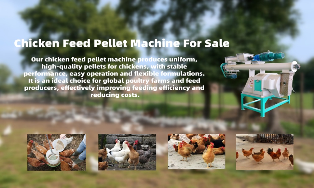 aa779535f636b9727446afdfbcfa5643_副本