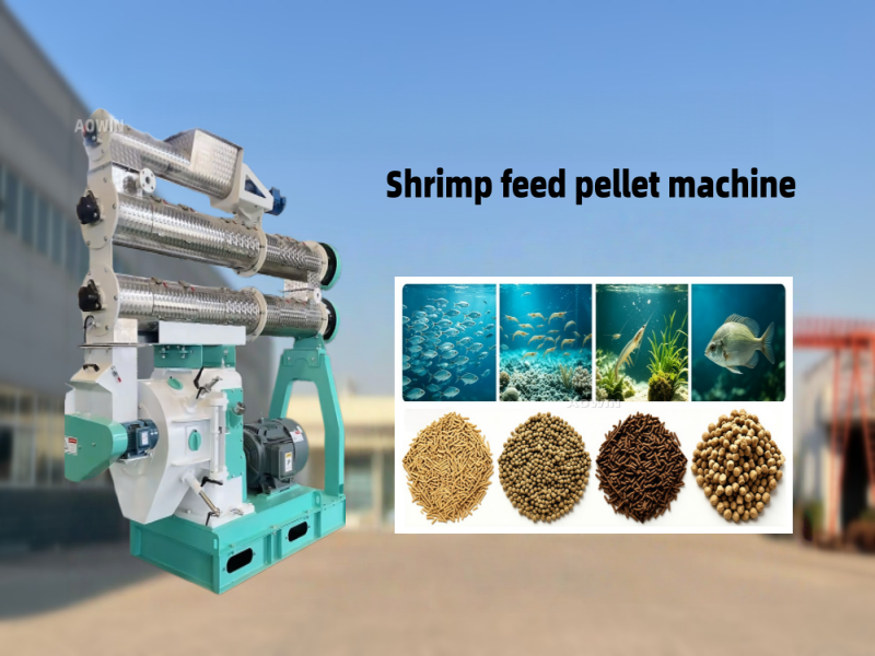 4f4f10da47c79f2_副本_副本