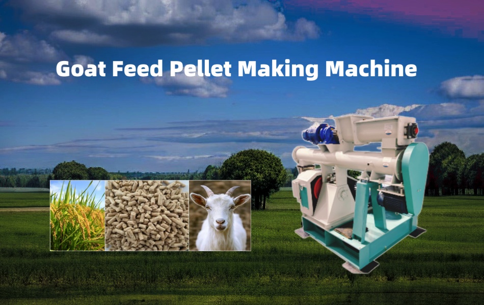 微信图片_20260421200717_567_292_副本