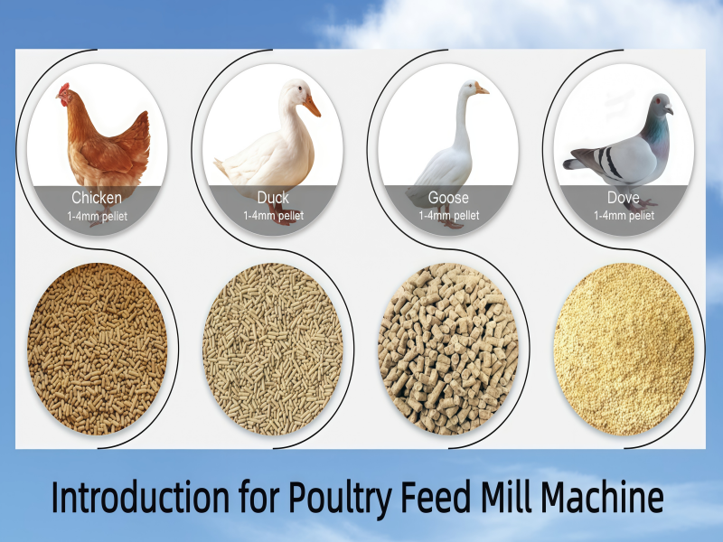 suitable-for-poultry_副本 suitable-for-poultry_副本